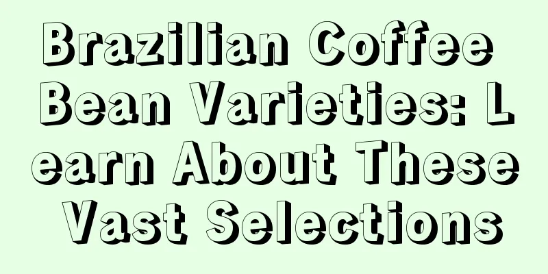 Brazilian Coffee Bean Varieties: Learn About These Vast Selections