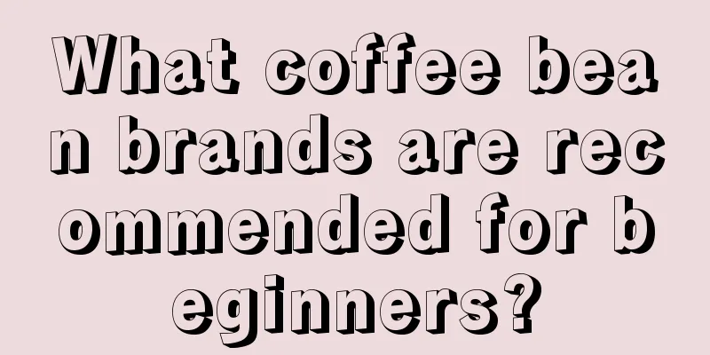 What coffee bean brands are recommended for beginners?