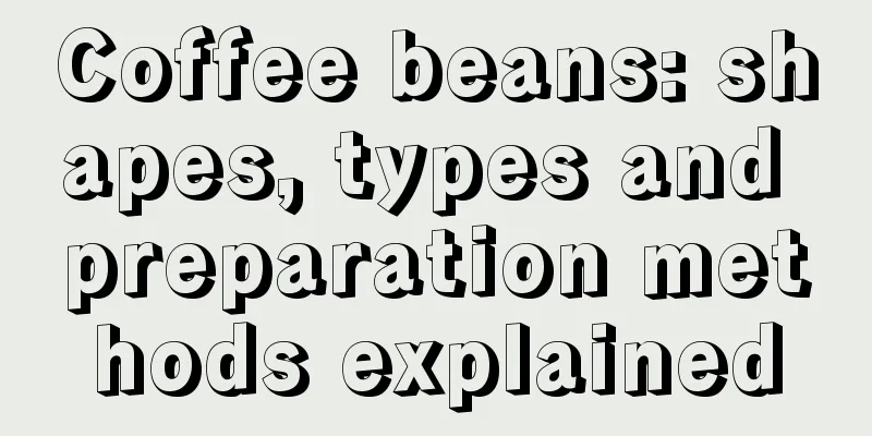 Coffee beans: shapes, types and preparation methods explained