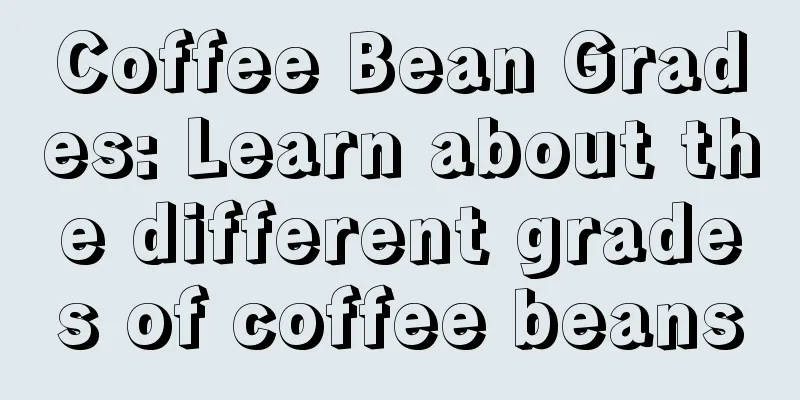 Coffee Bean Grades: Learn about the different grades of coffee beans