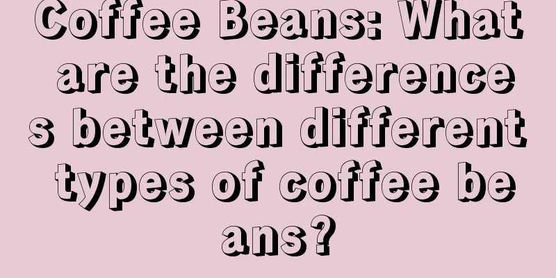 Coffee Beans: What are the differences between different types of coffee beans?