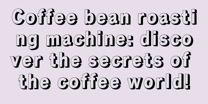 Coffee bean roasting machine: discover the secrets of the coffee world!