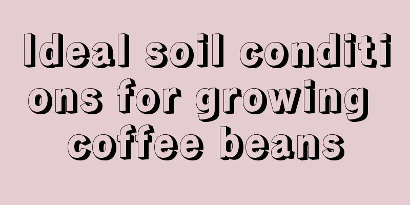 Ideal soil conditions for growing coffee beans