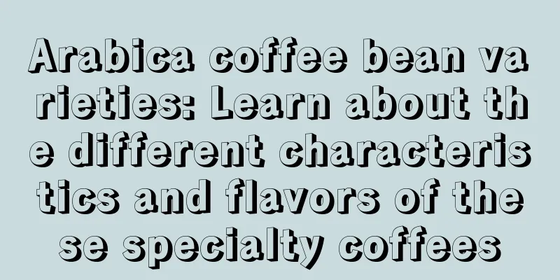 Arabica coffee bean varieties: Learn about the different characteristics and flavors of these specialty coffees