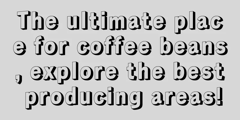 The ultimate place for coffee beans, explore the best producing areas!