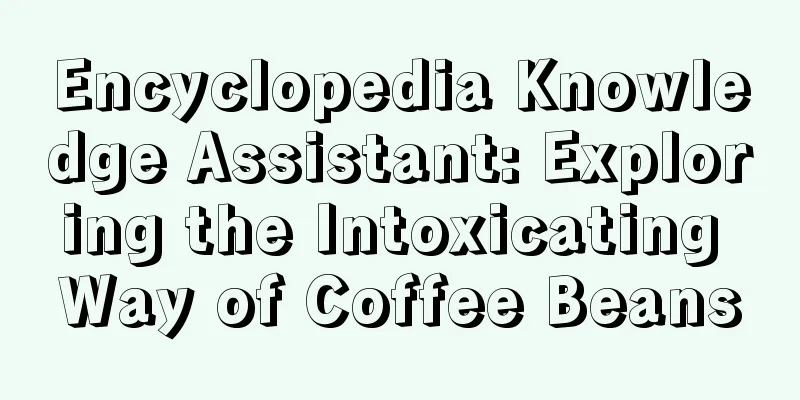 Encyclopedia Knowledge Assistant: Exploring the Intoxicating Way of Coffee Beans