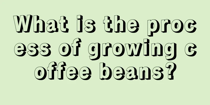 What is the process of growing coffee beans?