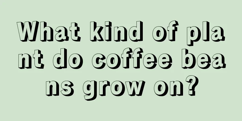 What kind of plant do coffee beans grow on?