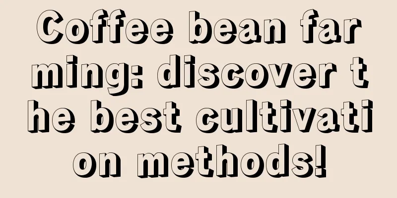 Coffee bean farming: discover the best cultivation methods!