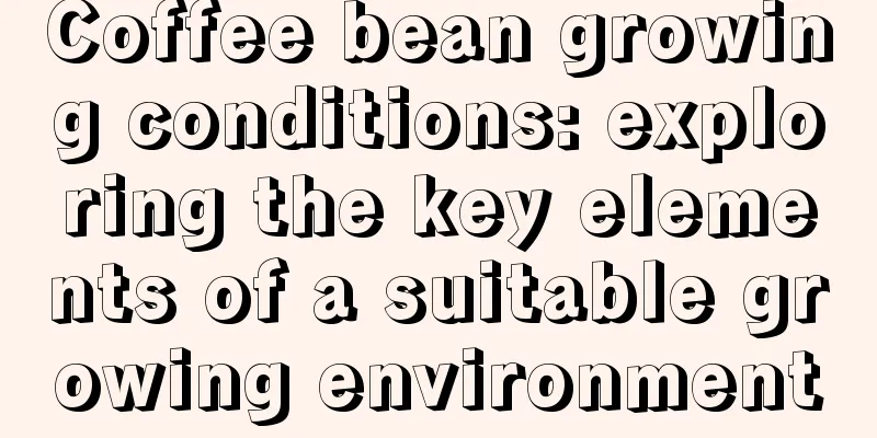 Coffee bean growing conditions: exploring the key elements of a suitable growing environment