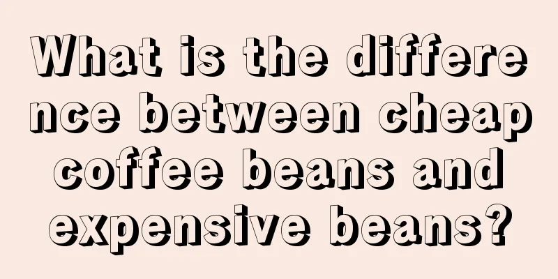 What is the difference between cheap coffee beans and expensive beans?