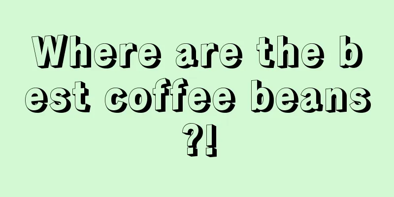 Where are the best coffee beans?!