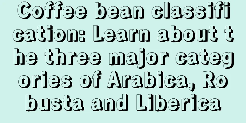 Coffee bean classification: Learn about the three major categories of Arabica, Robusta and Liberica