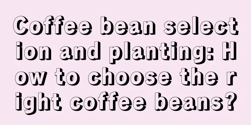 Coffee bean selection and planting: How to choose the right coffee beans?