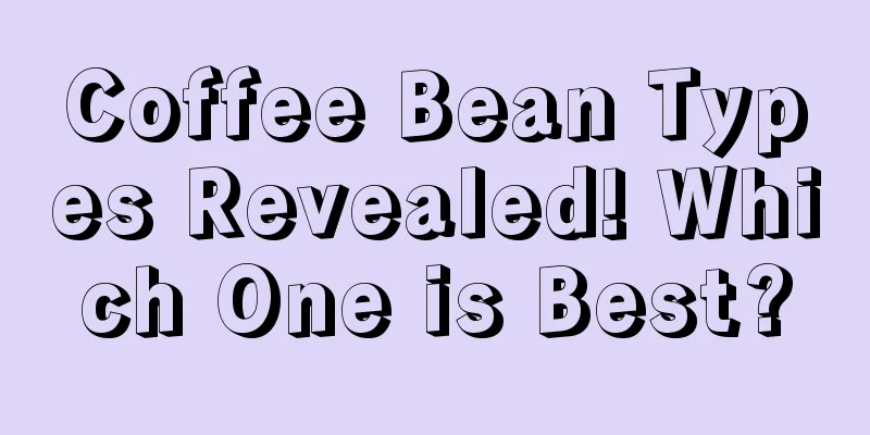 Coffee Bean Types Revealed! Which One is Best?