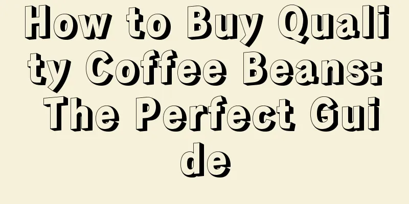 How to Buy Quality Coffee Beans: The Perfect Guide