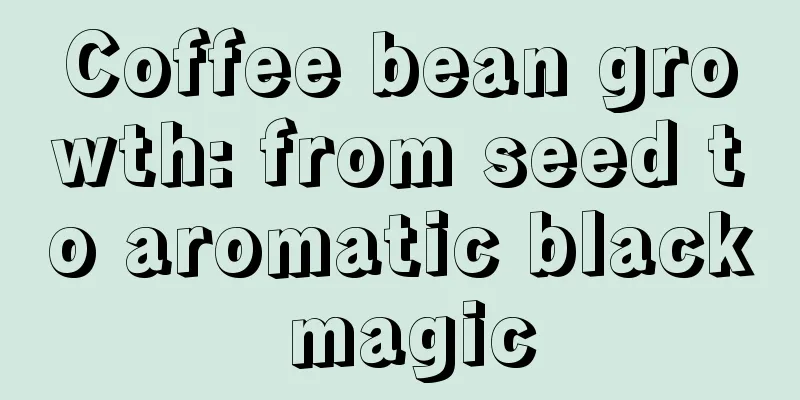 Coffee bean growth: from seed to aromatic black magic