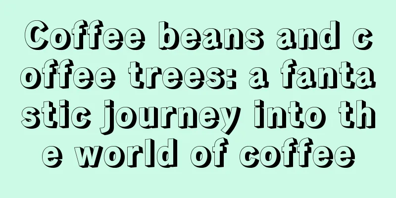 Coffee beans and coffee trees: a fantastic journey into the world of coffee