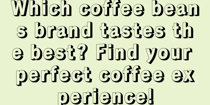 Which coffee beans brand tastes the best? Find your perfect coffee experience!