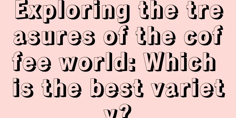 Exploring the treasures of the coffee world: Which is the best variety?