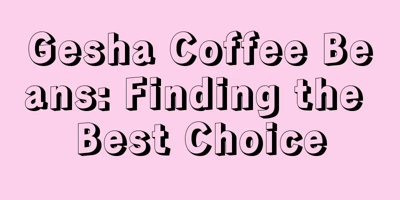 Gesha Coffee Beans: Finding the Best Choice