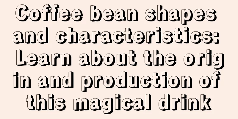 Coffee bean shapes and characteristics: Learn about the origin and production of this magical drink