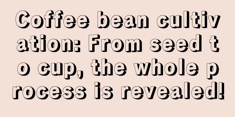 Coffee bean cultivation: From seed to cup, the whole process is revealed!