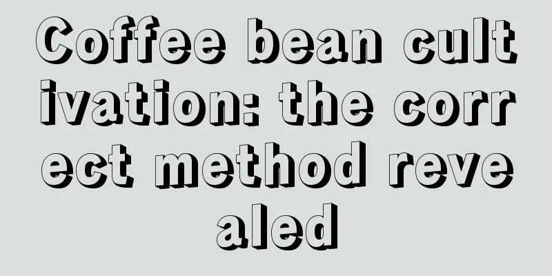 Coffee bean cultivation: the correct method revealed