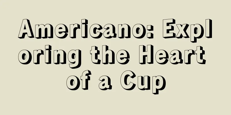 Americano: Exploring the Heart of a Cup