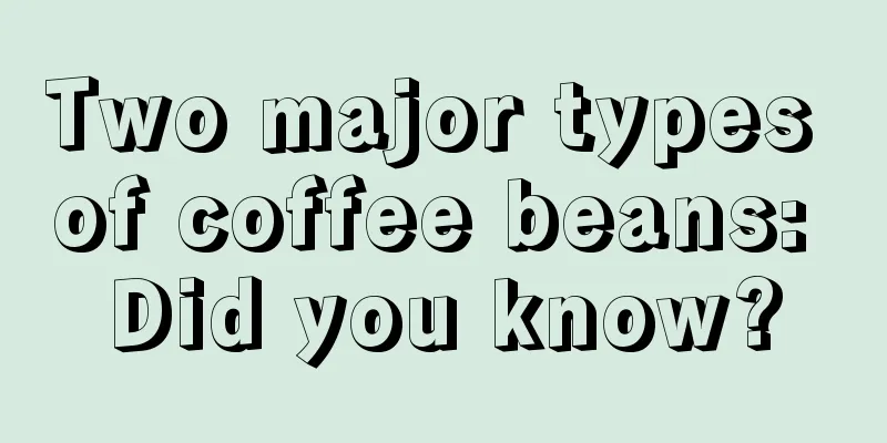 Two major types of coffee beans: Did you know?