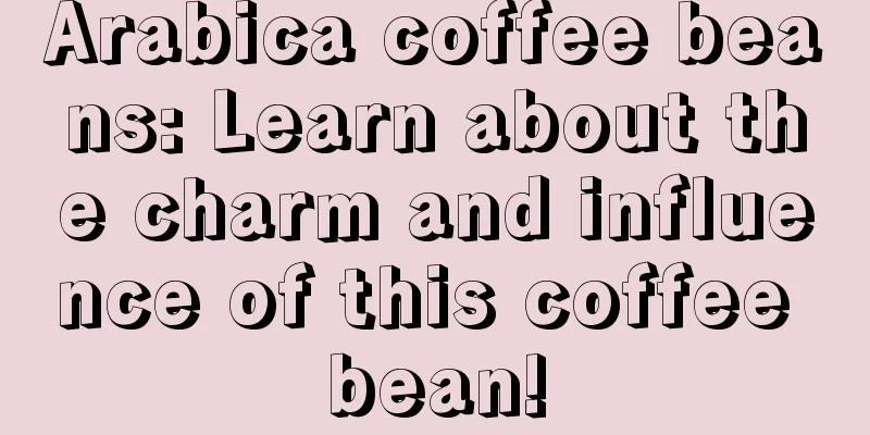 Arabica coffee beans: Learn about the charm and influence of this coffee bean!