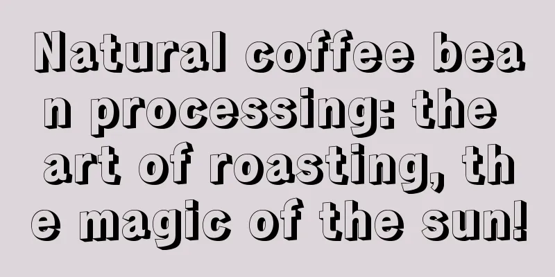 Natural coffee bean processing: the art of roasting, the magic of the sun!