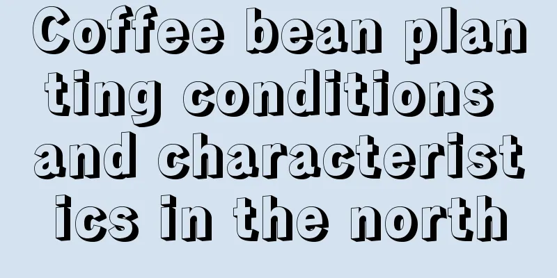 Coffee bean planting conditions and characteristics in the north