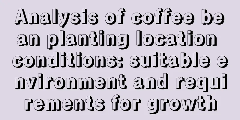 Analysis of coffee bean planting location conditions: suitable environment and requirements for growth