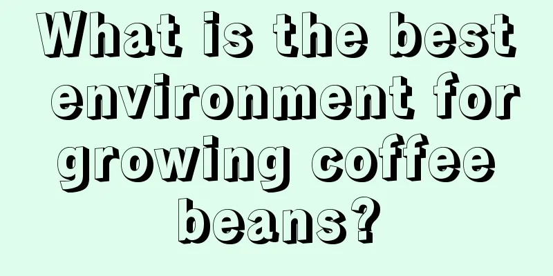 What is the best environment for growing coffee beans?