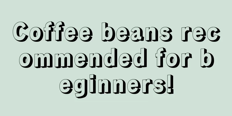 Coffee beans recommended for beginners!