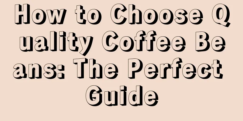 How to Choose Quality Coffee Beans: The Perfect Guide