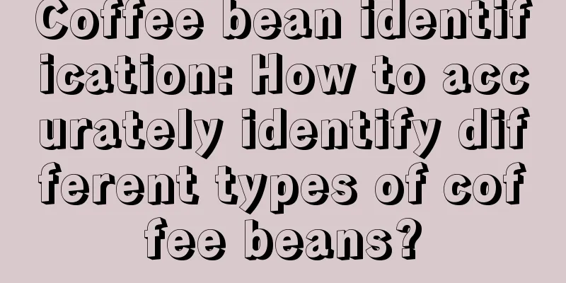 Coffee bean identification: How to accurately identify different types of coffee beans?