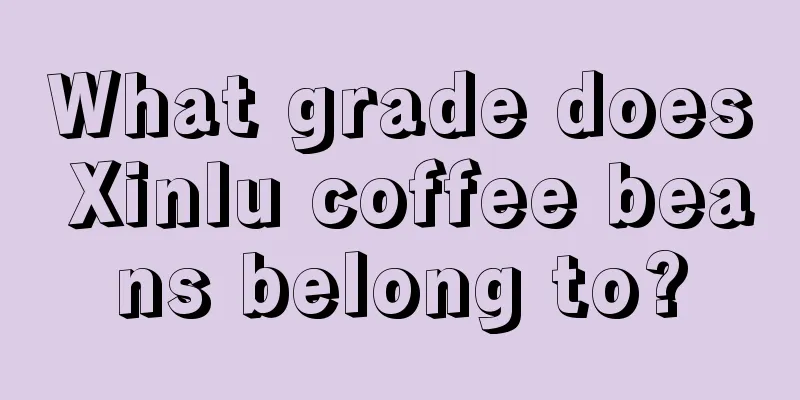 What grade does Xinlu coffee beans belong to?