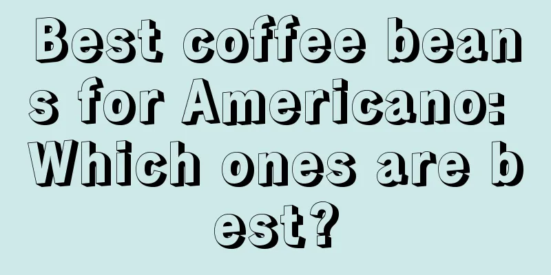 Best coffee beans for Americano: Which ones are best?