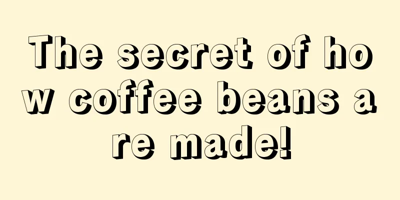 The secret of how coffee beans are made!