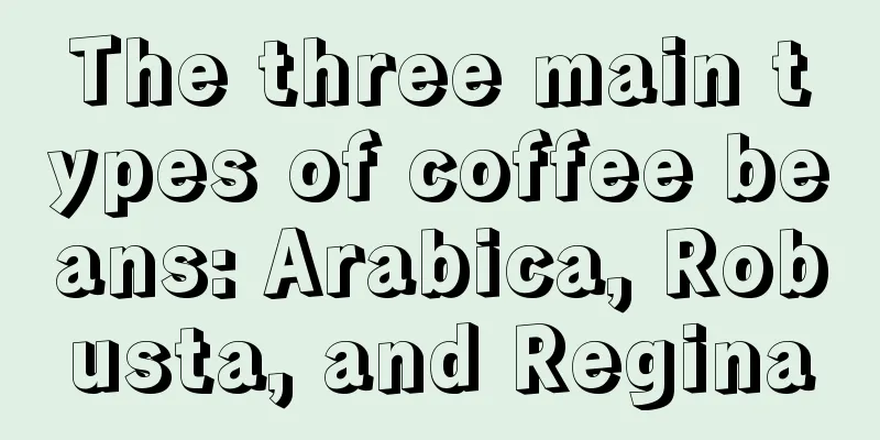 The three main types of coffee beans: Arabica, Robusta, and Regina