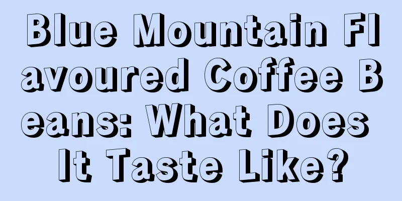 Blue Mountain Flavoured Coffee Beans: What Does It Taste Like?