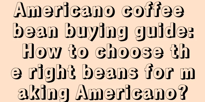 Americano coffee bean buying guide: How to choose the right beans for making Americano?