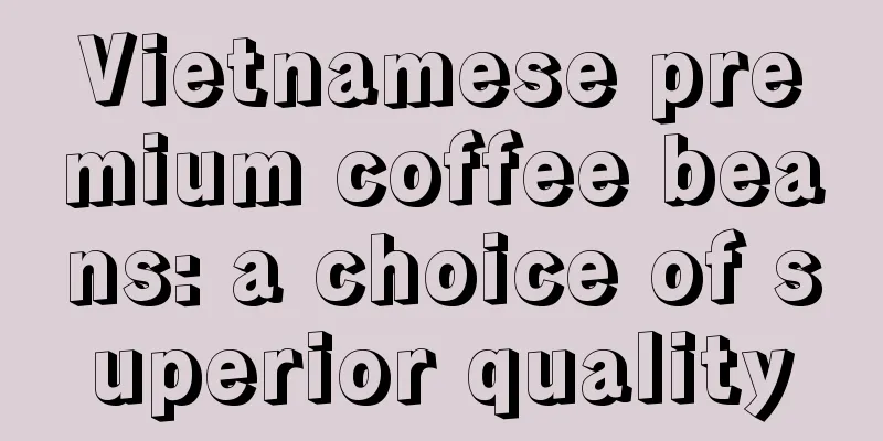 Vietnamese premium coffee beans: a choice of superior quality