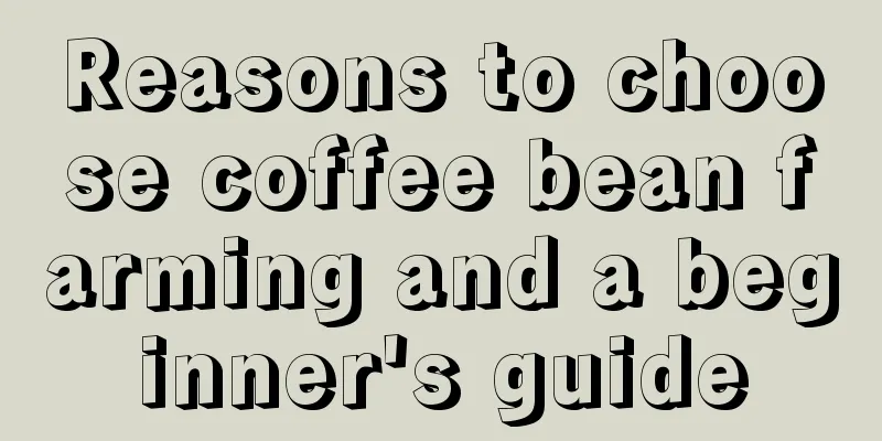 Reasons to choose coffee bean farming and a beginner's guide