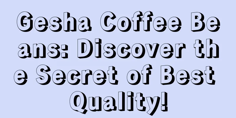 Gesha Coffee Beans: Discover the Secret of Best Quality!