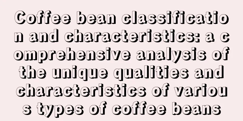 Coffee bean classification and characteristics: a comprehensive analysis of the unique qualities and characteristics of various types of coffee beans