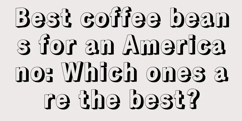 Best coffee beans for an Americano: Which ones are the best?