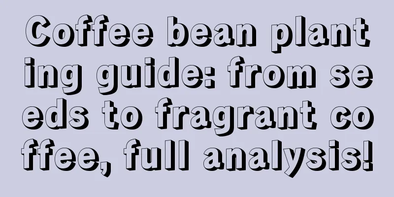 Coffee bean planting guide: from seeds to fragrant coffee, full analysis!